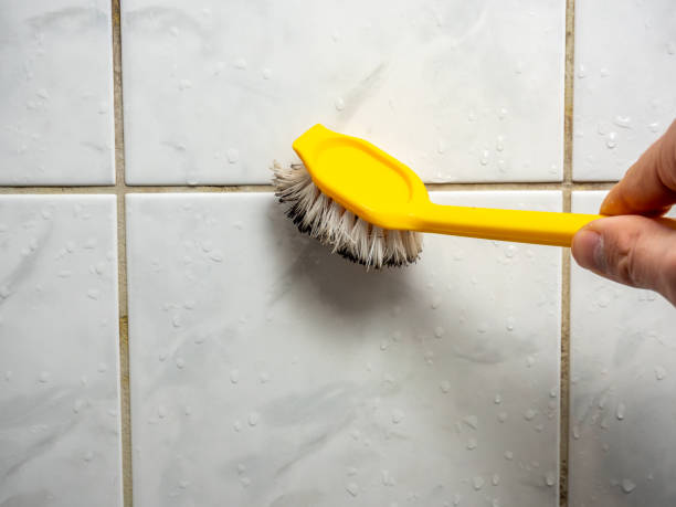 Best Best Mold Removal Companies  in Junction City, CA